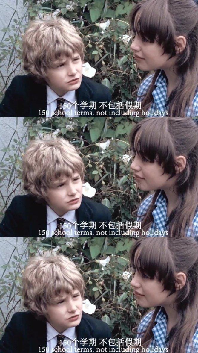 迷雾求生