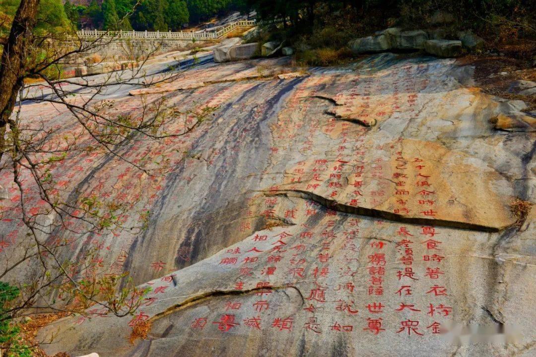 碰然心动